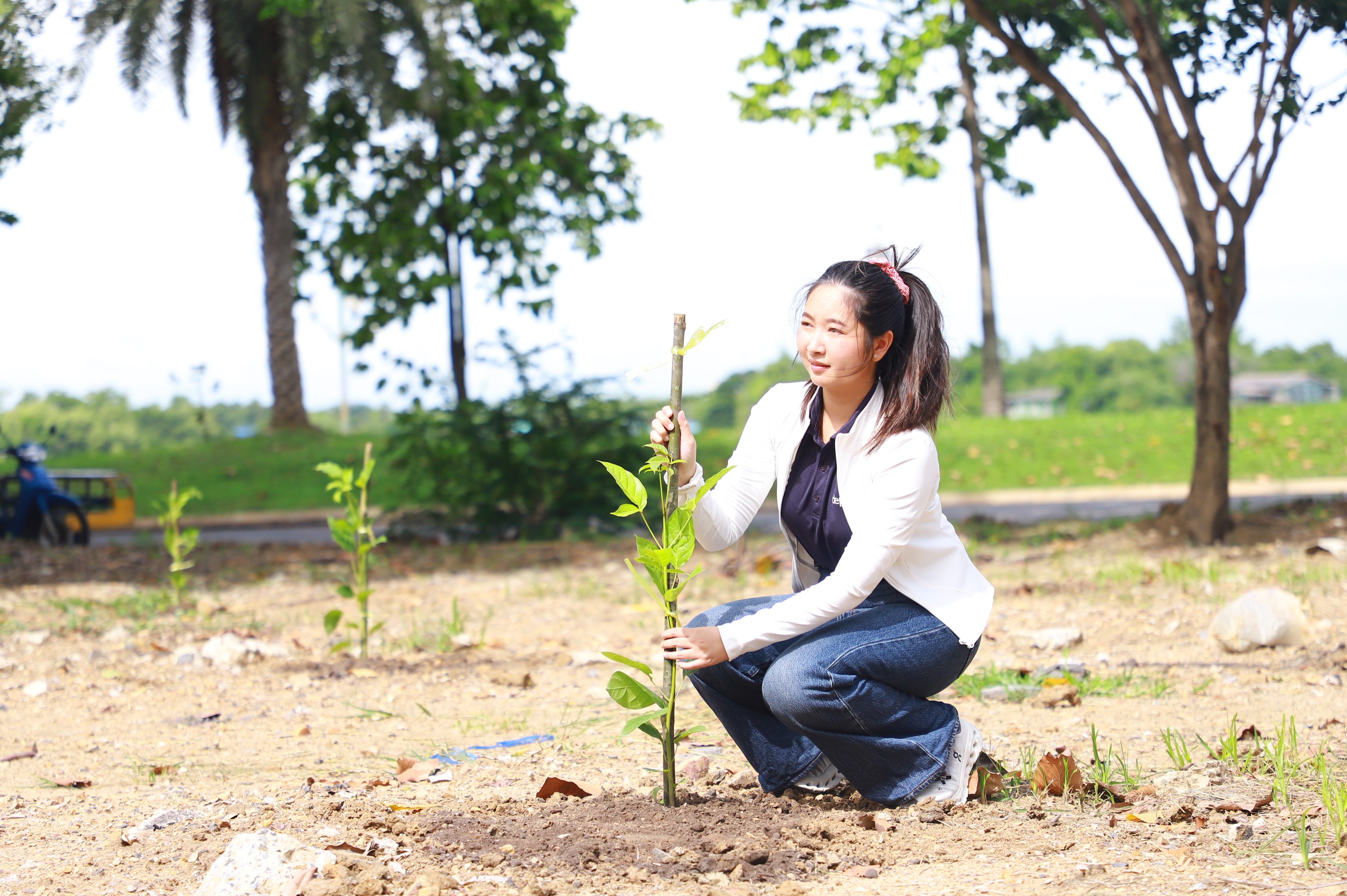 title - ส.ป.ก. - depa ร่วมใจปลูกต้นไม้ ภายใต้กิจกรรม CSR ปลูกต้นไม้ (Grow Green) เพิ่มพื้นที่สีเขียว ลด CO2 ณ ศูนย์ส่งเสริมและพัฒนาอาชีพเสริมนอกภาคการเกษตร